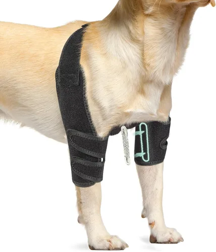 Vista 8 de Codera para perro con férula de metal, almohadillas protectoras de codo Hygroma para perros, callos de hombro, artritis, displasia, dislocación