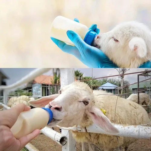 Vista 7 de 25 pezones de bebida de leche de vaca, silicona suave, tapa para botella de leche de cabra, alimentación para perros de oveja, cabra y cachorro, Azul