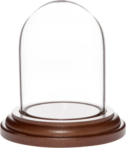 Vista 3 de Plymor Mini campana de cristal en forma de domo para exhibición, de 1.85 x 2.875 pulgadas