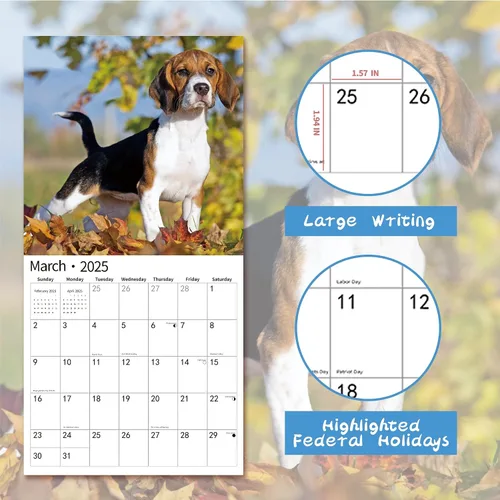 Vista 3 de Calendario de pared 2026, calendario 2026, noviembre de 2025 a diciembre de 2026, calendario de pared Beagles, 12 x 24 pulgadas abierto, página