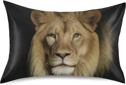 Vista 44 de Fundas de almohada Blueangle con diseño de rayas de béisbol – Fundas de almohada suaves y transpirables – Lavables a máquina – Fundas de almohada