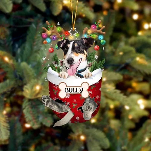 Vista 138 de IZI POD Affenpinscher Adorno de Navidad personalizado para perro, adorno de bolsillo de nieve para perro para árbol de Navidad, adorno acrílico