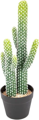 Vista 10 de bellacat Cactus artificial grande resistente a los rayos UV de 5 pies (60 pulgadas) con maceta negra, plantas artificiales realistas para Negro