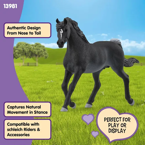 Vista 4 de Schleich Horse Club - Figura de semental árabe Rabicano - Figuras de poni para niñas y niños - Juguetes para niños a partir de 5 años