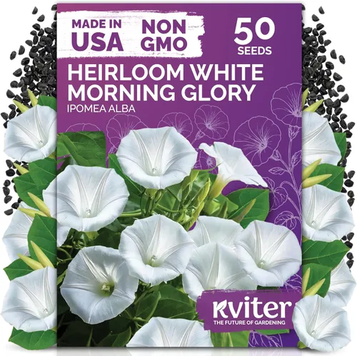 Vista 13 de KVITER 15,000 semillas de rosa musgo mixta para plantar (Portulaca grandiflora) – Cubierta de suelo con floración de reliquia, semilla de Portulaca