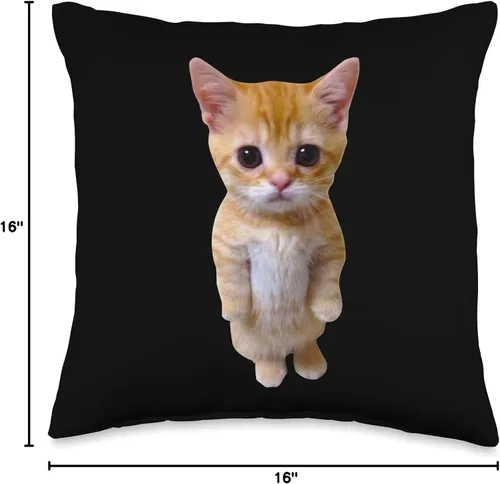 Vista 4 de El Gato Meme Sad Crying Cat Munchkin Kitty Meme Almohada moderna, 16 x 16 pulgadas, multicolor