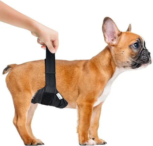 Vista 3 de Vet's Best 1 envoltorio de ajuste perfecto lavable para perro macho, XXS/XS