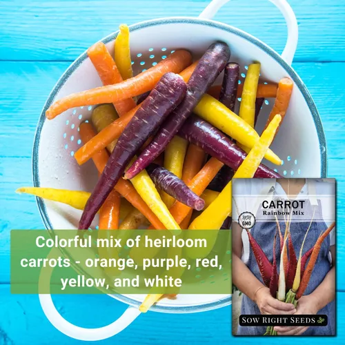 Vista 3 de Sow Right Seeds - Semillas de zanahoria Rainbow Mix para plantar - Paquete de reliquia sin OMG con instrucciones para plantar un huerto casero