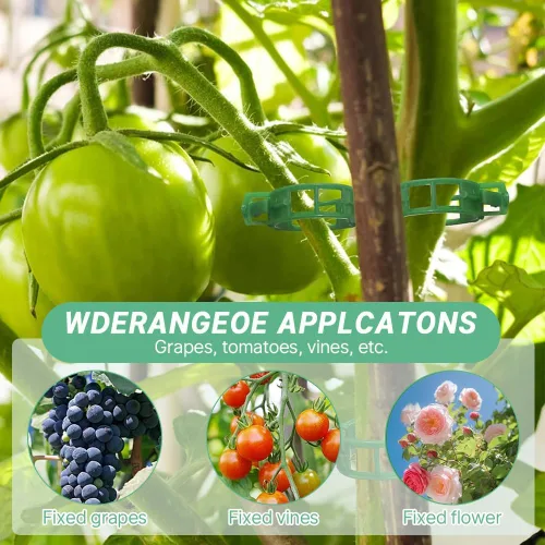 Vista 7 de Clip de plástico seguro para plantas, clips de soporte reutilizables para plantas, clips de plástico para tomate para asegurar plantas trepadoras