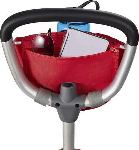Vista 15 de Radio Flyer Deluxe EZ Fold Stroll 'N Trike - Triciclo 4 en 1, color rojo