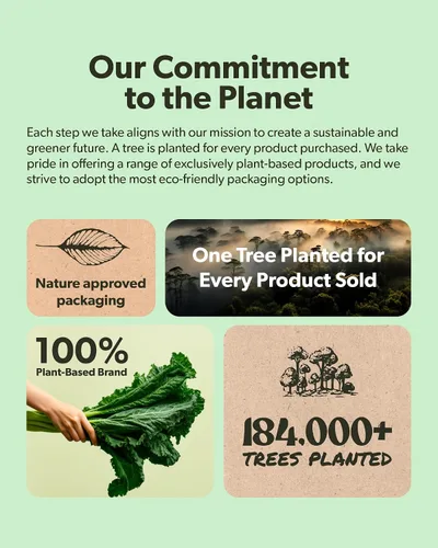 Vista 7 de sapling Complejo vegano de vitamina B, mezcla de alimentos integrales con vitaminas B esenciales B1, B2, B3, B5, B6, B7, folato, B12-60 cápsulas