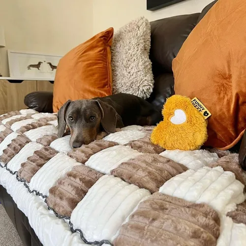 Vista 7 de FUNNY FUZZY Fundas de Sofá para Mascotas, Fundas de Sofá para Perros Lavables Protector de Sofá para Perros Color Crema Fundas de Sofá de Muebles