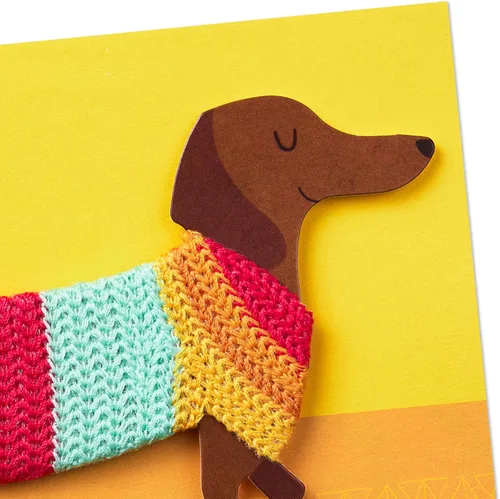 Vista 4 de Hallmark tarjeta de felicitación para cumpleaños, Dog in Sweater