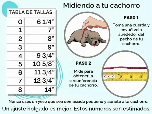 Vista 3 de Kit de pecho plano para cachorros recién nacidos, esencial para parto, talla 0-5