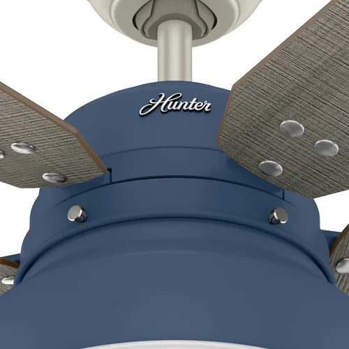 Vista 11 de Hunter Mill Valley 50252 - Ventilador de techo rústico con cadena de tracción, para dormitorio, sala de estar o patio, montaje estándar, sin control