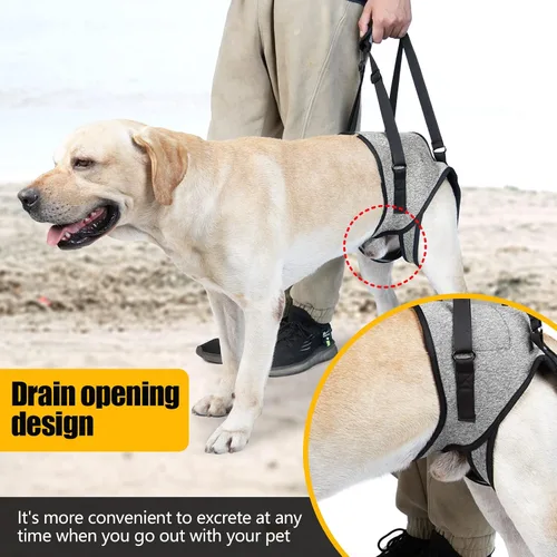 Vista 7 de Arnés de elevación para perros, arnés de soporte para patas traseras, arnés de soporte trasero ajustable, color gris, pequeño