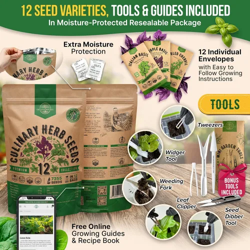 Vista 3 de Organo Republic Paquete variado de 12 semillas de hierbas culinarias - 7,355+ semillas criollas, sin transgénicos, para jardinería en interiores
