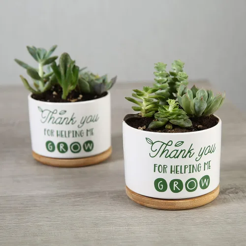 Vista 6 de DOMG Regalo de Apreciación para Maestros, Maceta de Cerámica para Suculentas Pequeña Maceta de Flores para Uso en Interior y Exterior, Gracias por