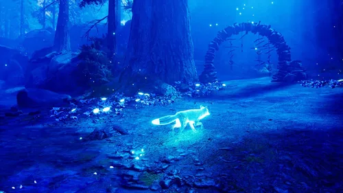 Vista 7 de Spirit of The North
