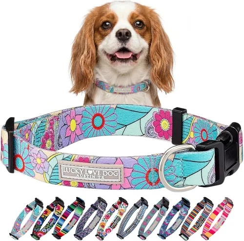 Vista 32 de Lucky Love Dog - Collar para perras pequeñas, diseño Blackbird de estampado alegre con flores de primavera y verano, talla XS Collar Blackbird
