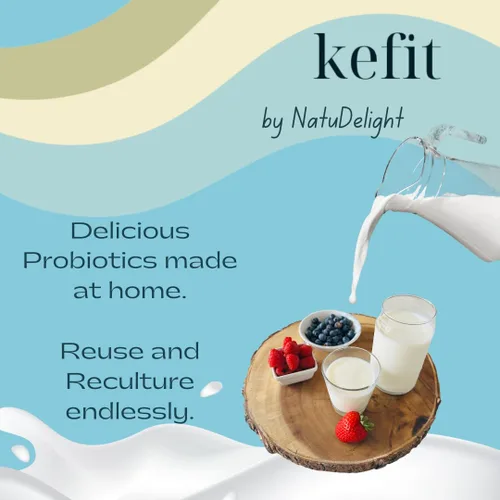 Vista 6 de Granos de kéfir, Kefit de NatuDelight 1 cucharada de granos de kéfir de leche fresca, cultivos iniciadores de kéfir activos vivos, leche de kéfir