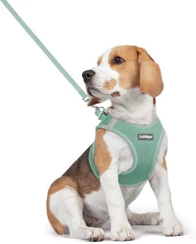 Vista 130 de rabbitgoo Arnés para perro de tamaño pequeño y juego de correa, chaleco Cachorros de manzana