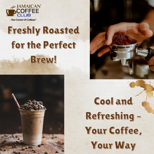 Vista 8 de JamaicanCoffeeClub 100% Blue Mountain - Café en grano entero, WB 8 onzas de granos tostados jamaicanos, sabor rico y suave, granos gourmet