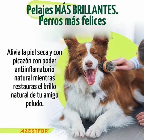 Vista 4 de Azestfor Mejillón de labios verdes antiinflamatorios para perros en polvo