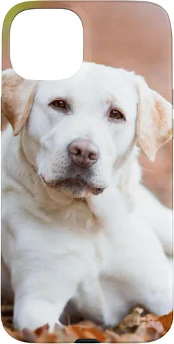 Vista 9 de Labrador Retriever Dog Lover - Carcasa para iPhone 17