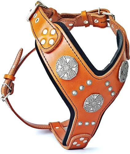 Vista 5 de Bestia Maximus Silver Big Dog - Arnés de cuero para perros marrón (brown & black)