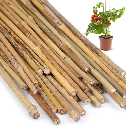 Vista 14 de Suclain Juego de 30 estacas de bambú para plantas trepadoras, estacas de bambú resistentes para tomates, frijoles, flores y plantas en maceta