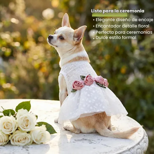 Vista 6 de Fitwarm Vestido de boda de lujo con encaje rosa para perro, ropa formal, pequeña