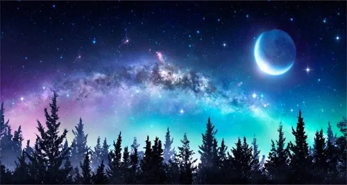 Vista 11 de AOFOTO Telón de fondo de bosque de cielo nocturno de 5 x 3 pies, universo, nebulosa, galaxia, cielo estrellado, fondo para fotos, luces coloridas