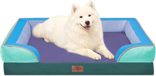 Vista 130 de Comfort Expression - Cama ortopédica para perros medianos, 28 x 19 pulgadas, cama impermeable y de apoyo de espuma con cojines removibles, sofá