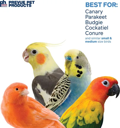 Vista 4 de Prevue Pet Products 62636 Calypso Creations Over The Rainbow Bird - Juguete multicolor, mediano