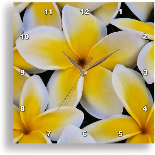 Vista 2 de 3D Rose USA-Hawaii-Oahu-Plumeria Flowers in Bloom - Reloj de pared, 13" x 13