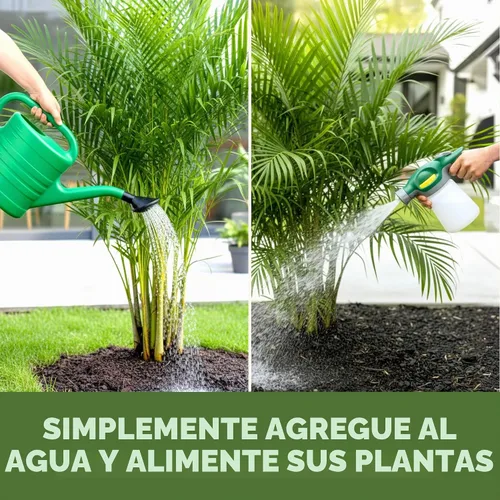 Vista 6 de Fertilizante para palmeras para todas las palmas y helechos, alimento líquido para plantas 8 oz (250mL)