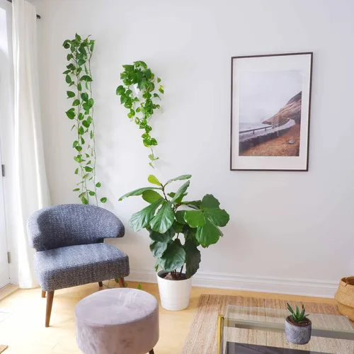Vista 5 de Make Good Virgo - Macetas de pared (geométricas, juego de 3) - Fácil de instalar y regar - Ligero - Diseña tu propio jardín vertical - Plástico