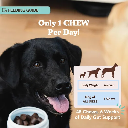 Vista 7 de Natural Dog Company Probióticos para perros: masticables probióticos para perros con UFC 1B, cepas microencapsuladas específicas caninas