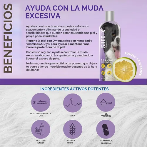 Vista 2 de Suplemento nutricional Synergylabs SHED-X Dermaplex Shed Control