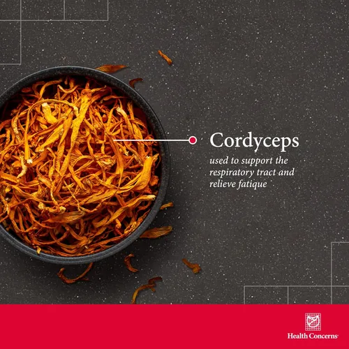 Vista 3 de Health Concerns Cordyceps PS – Suplemento de apoyo pulmonar y salud respiratoria – Cuerpo fructífero de hongos para la función inmunológica, salud