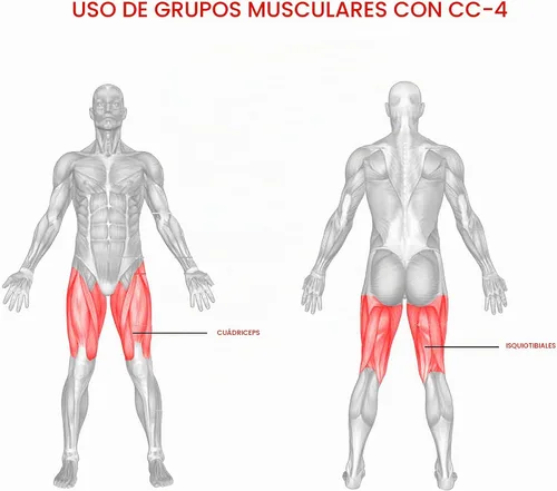 Vista 8 de Valor Fitness CC-4 aparato para musculación de piernas ajustable