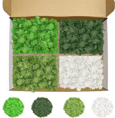 Vista 21 de Musgo de reno azul de 3.5 onzas, musgo preservado para plantas, decoración de musgo, musgo verde para manualidades, musgo para plantas en maceta