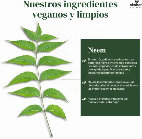 Vista 4 de AKSHAR Ayurveda - Cápsulas de neem con extracto de neem y polvo de hoja de neem, suplemento de neem a base de hierbas para apoyar la salud