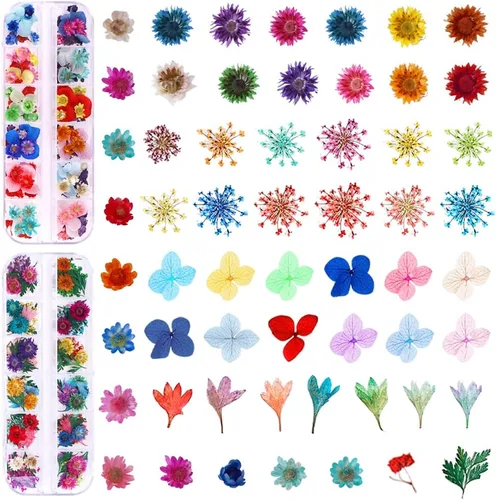 Vista 2 de 216 piezas de flores secas - Kits de accesorios de arte de uñas, para moldes de resina y uñas