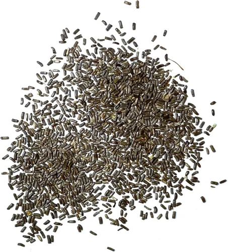 Vista 7 de Seed Needs - Semillas de fresa para plantar flores cortadas anuales mixtas, 1 paquete