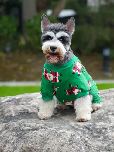 Vista 5 de [Usado] Lanyar pijama de Navidad para mascotas para perro, para festividades, 100 % algodón, de Papa Noel, del reno Rudolph