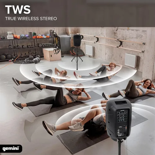 Vista 6 de Gemini Altavoz PA Bluetooth de 8" 500W con enlace TWS, USB/SD/FM, entradas XLR/RCA/AUX, canales de micrófono y guitarra, altavoz DJ compacto
