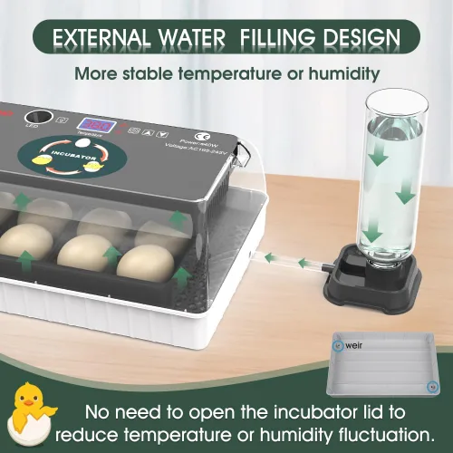 Vista 6 de Incubadora de 12 huevos, girador automático de huevos, control de temperatura, vela incorporada, recarga automática de agua para incubar huevos