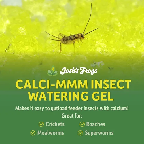 Vista 2 de Josh's Frogs Calci-mMm Gel de carga de insectos con calcio (16 oz)
